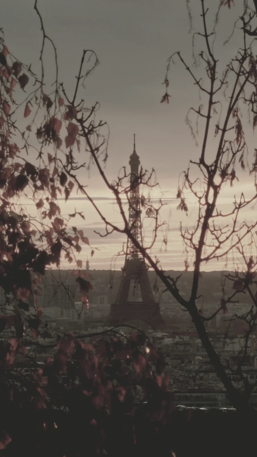 Eiffel Tower at sunset, flat Apple Log image before grading