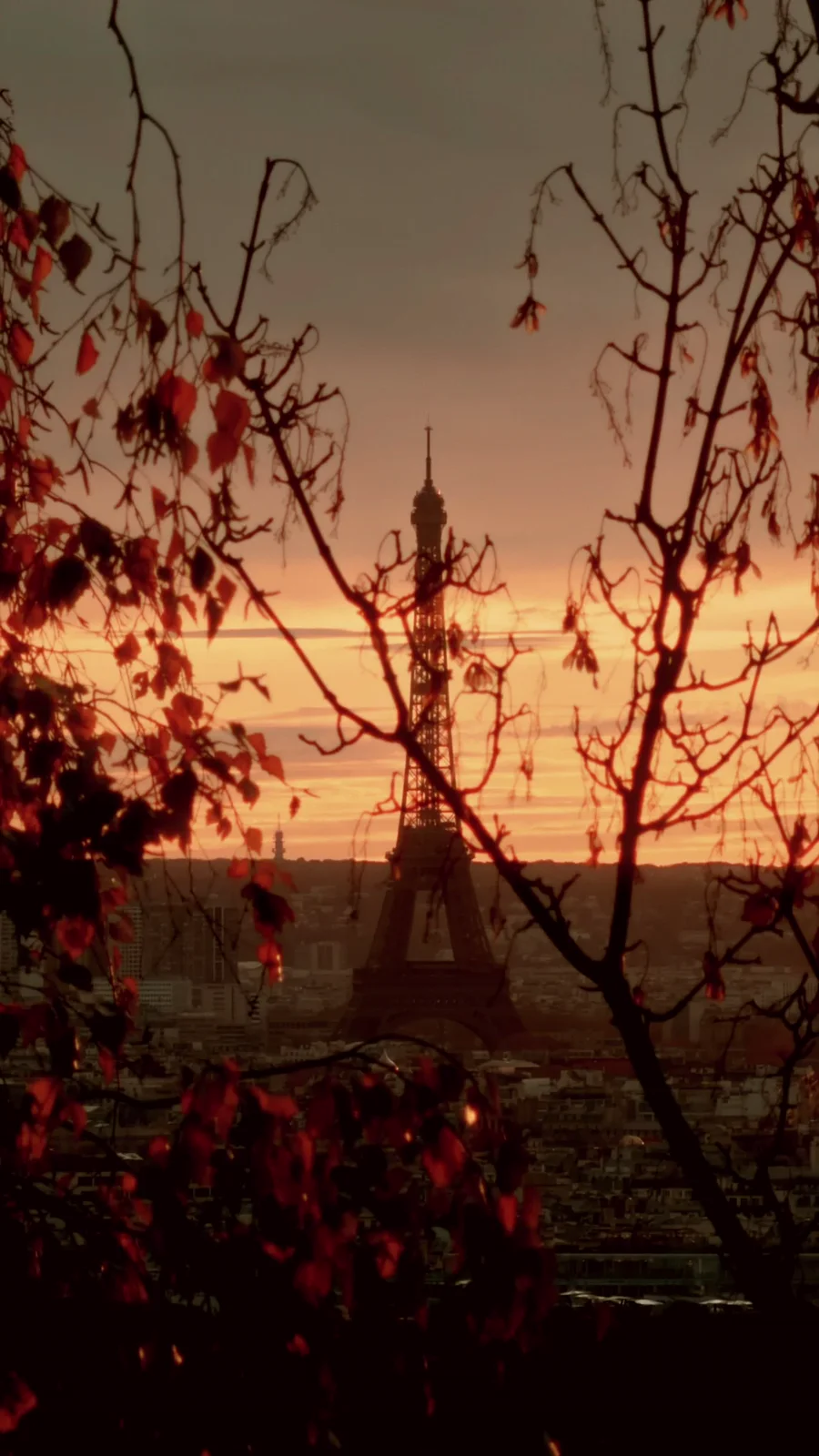 Same frame graded to a warm cinematic look